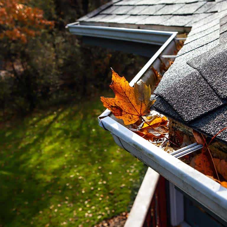 Traditional gutters with autumn leaves in them on an asphalt shingle roof.