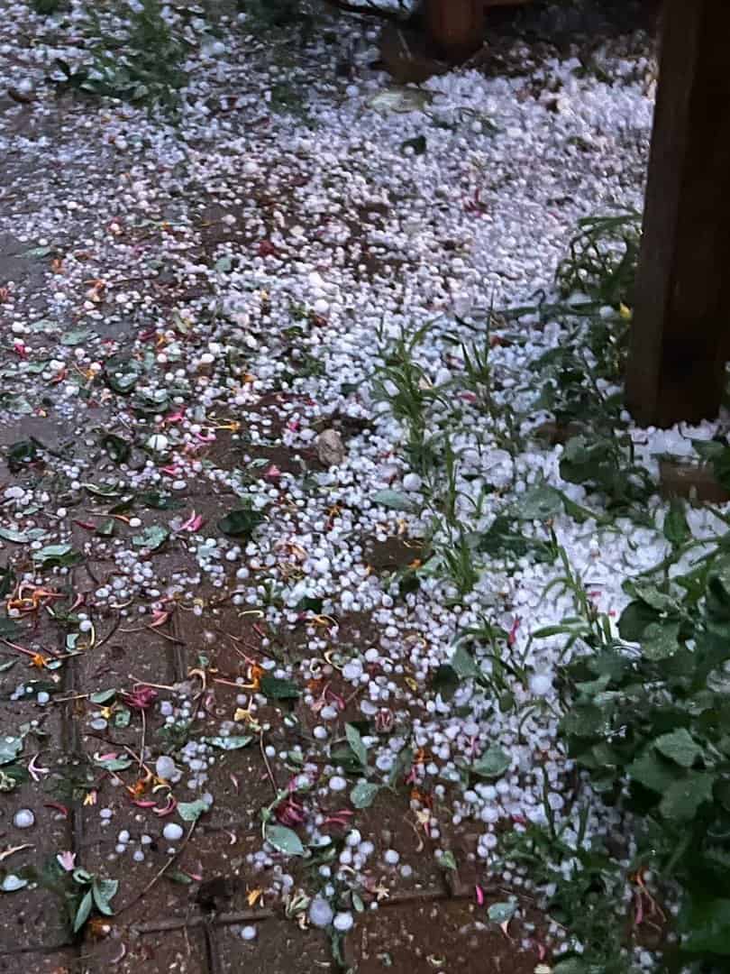 Image of ground covered in small hail pieces from recent Omaha Hail storm