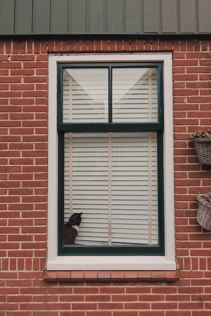 A cat sitting in the window of a brick house in Omaha.