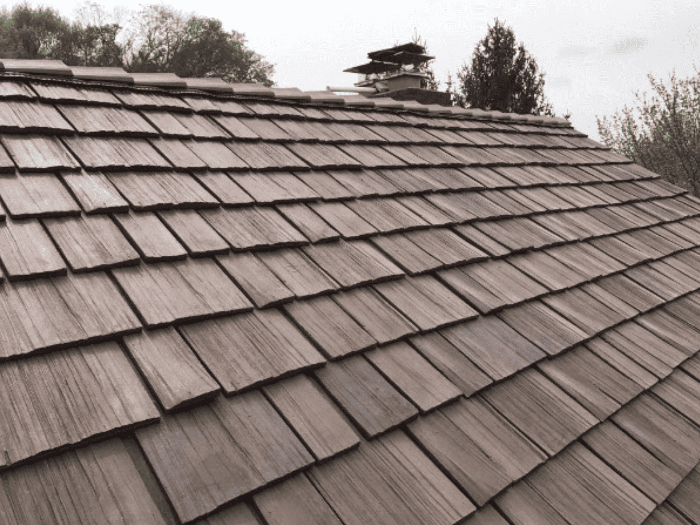Advantages and Disadvantages of Cedar Shake Shingles AGR