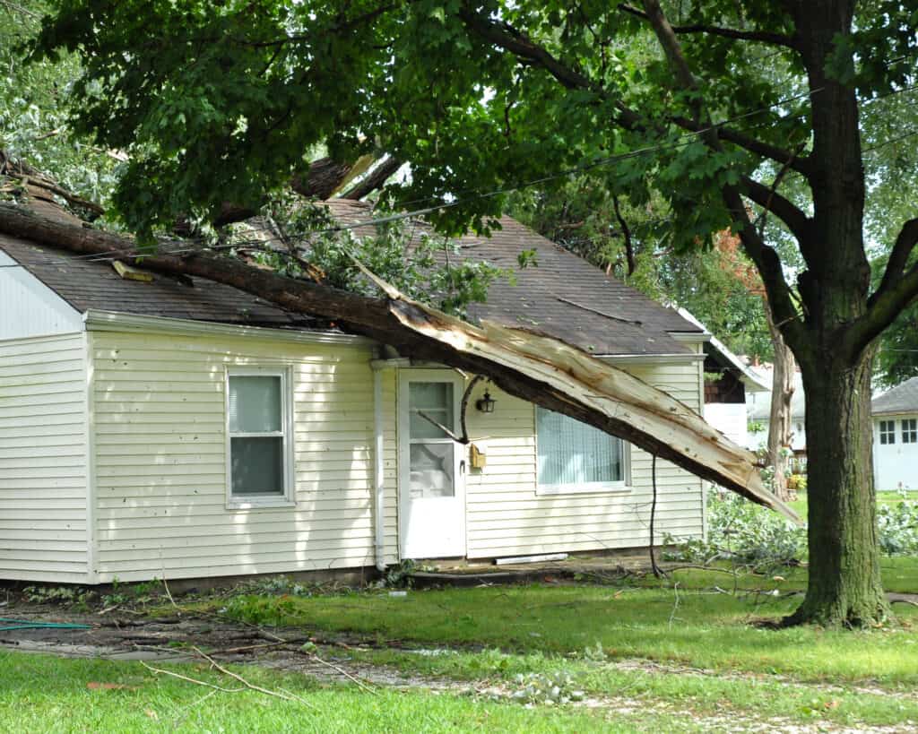 A fallen tree on an Omaha home.
