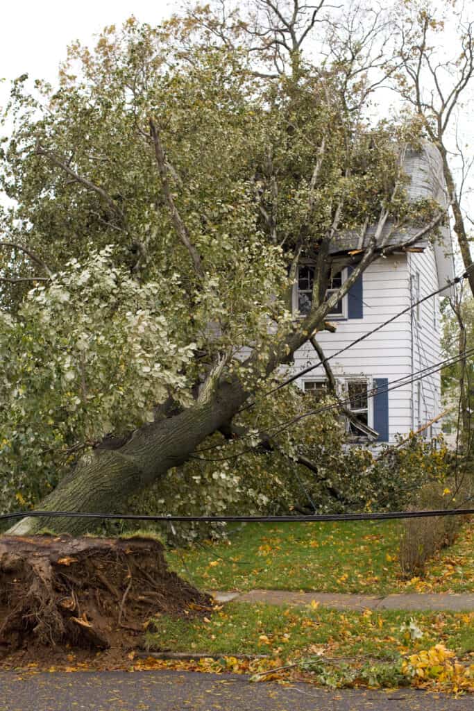 An Omaha home with a fallen tree in front of it.